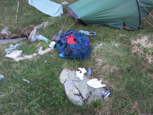 The scene of carnage left by the bear The scene of carnage left by the bear